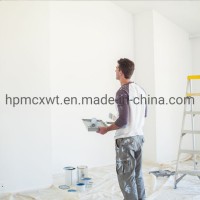 Factory Supply Chemicals Raw Materials HPMC Powder Tile Adhesive